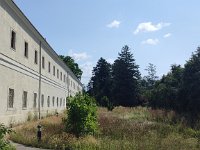 IMG 20240803 104832