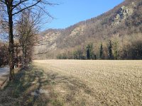 IMG 20250204 150117