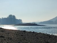 IMG 20250204 150441
