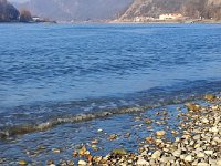 IMG 20250204 150452