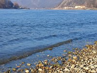 IMG 20250204 150504