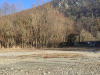 IMG 20250204 150536