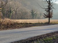 IMG 20250204 150646