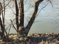 IMG 20250204 151509