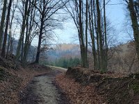 IMG 20250312 075049