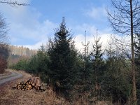 IMG 20250312 083513