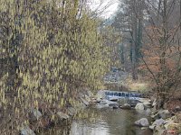 IMG 20250312 083902