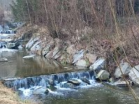 IMG 20250312 084202