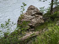 IMG 20260428 085523