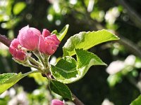 IMG 20260501 101440