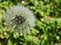 IMG 20260501 101551