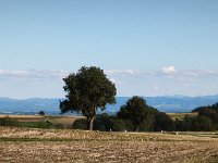 IMG 20260915 163340